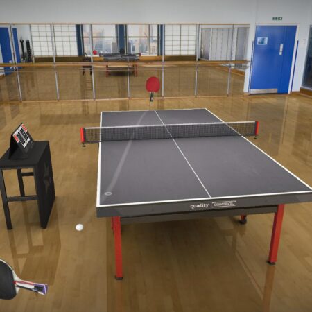 Table Tennis Touch