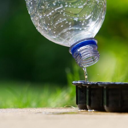 Wasserbecher und Flasche